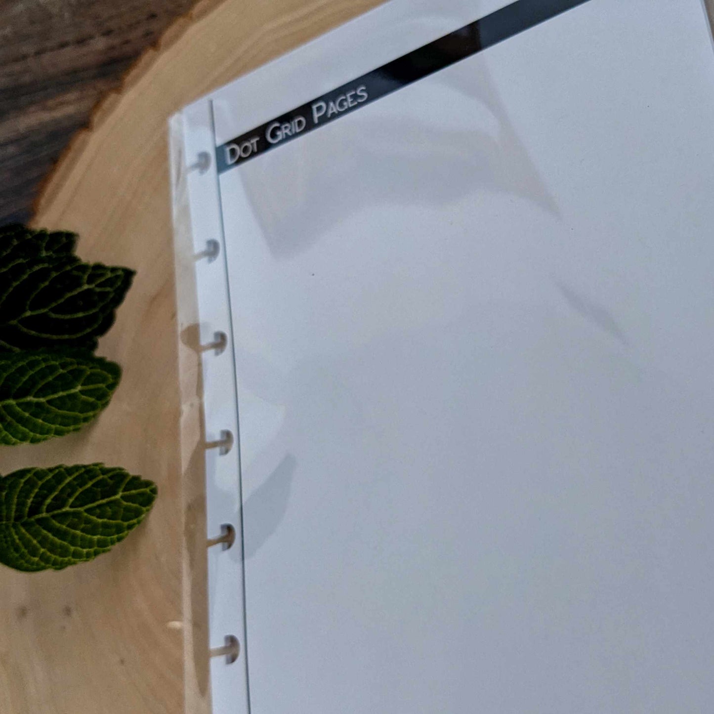 Universal TTRPG Character Sheets | Player's Notebook Size