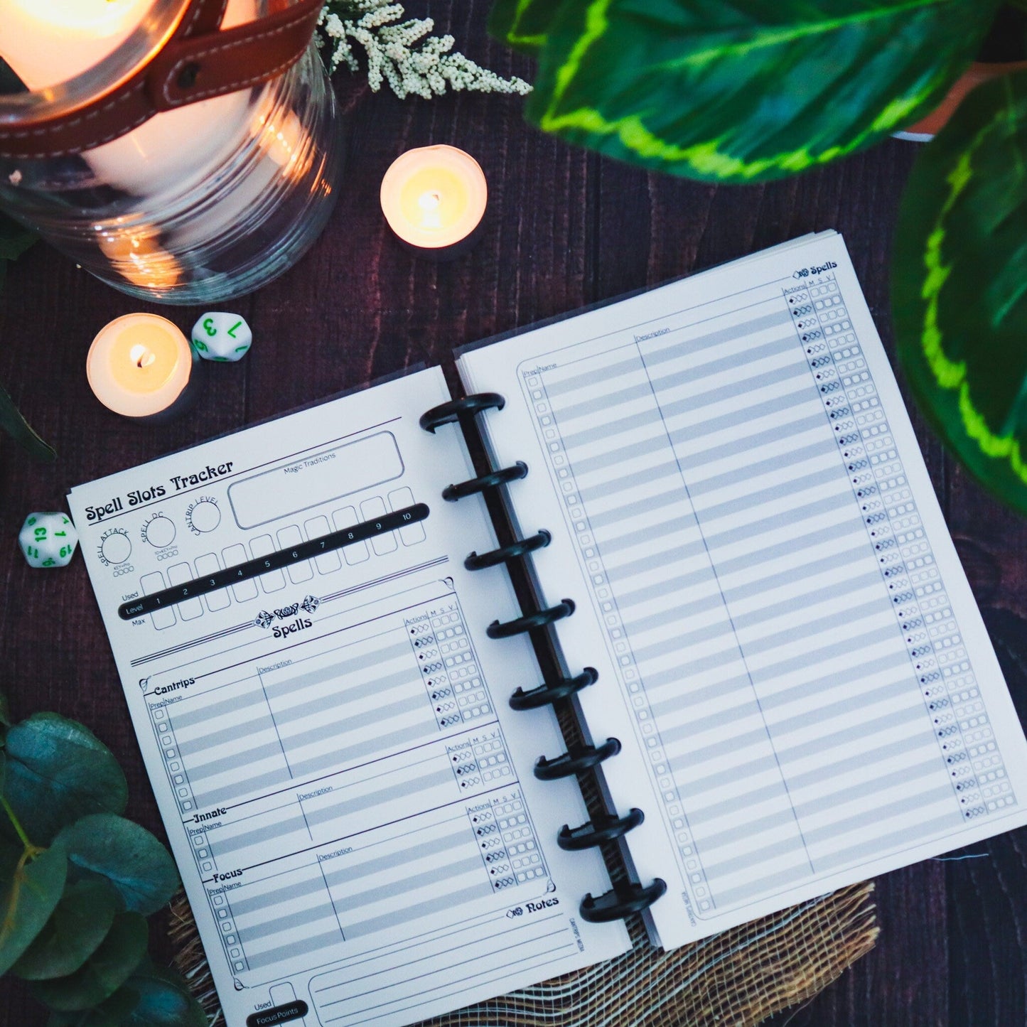 Pathfinder 2e Player's Notebook | Traveler's Ambition