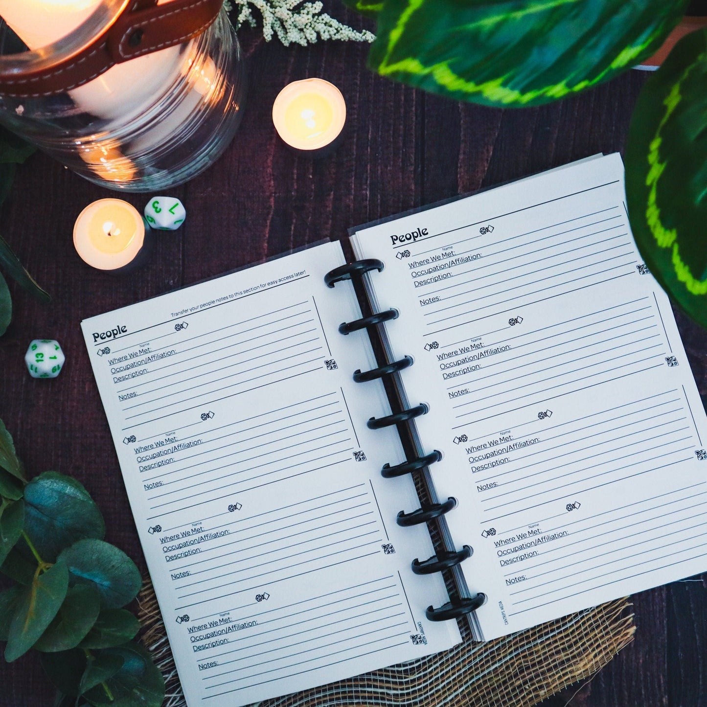 Pathfinder 2e Player's Notebook | Traveler's Ambition