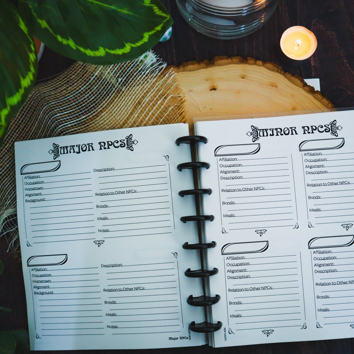 Guiding Light for the GM | Pathfinder 2e Discbound Notebook for Gamemasters