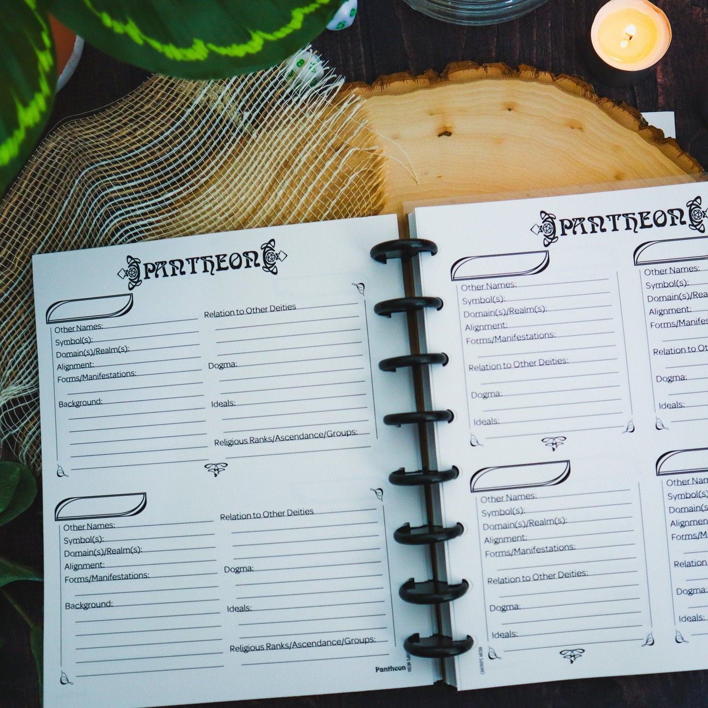 Guiding Light for the GM | Pathfinder 2e Discbound Notebook for Gamemasters