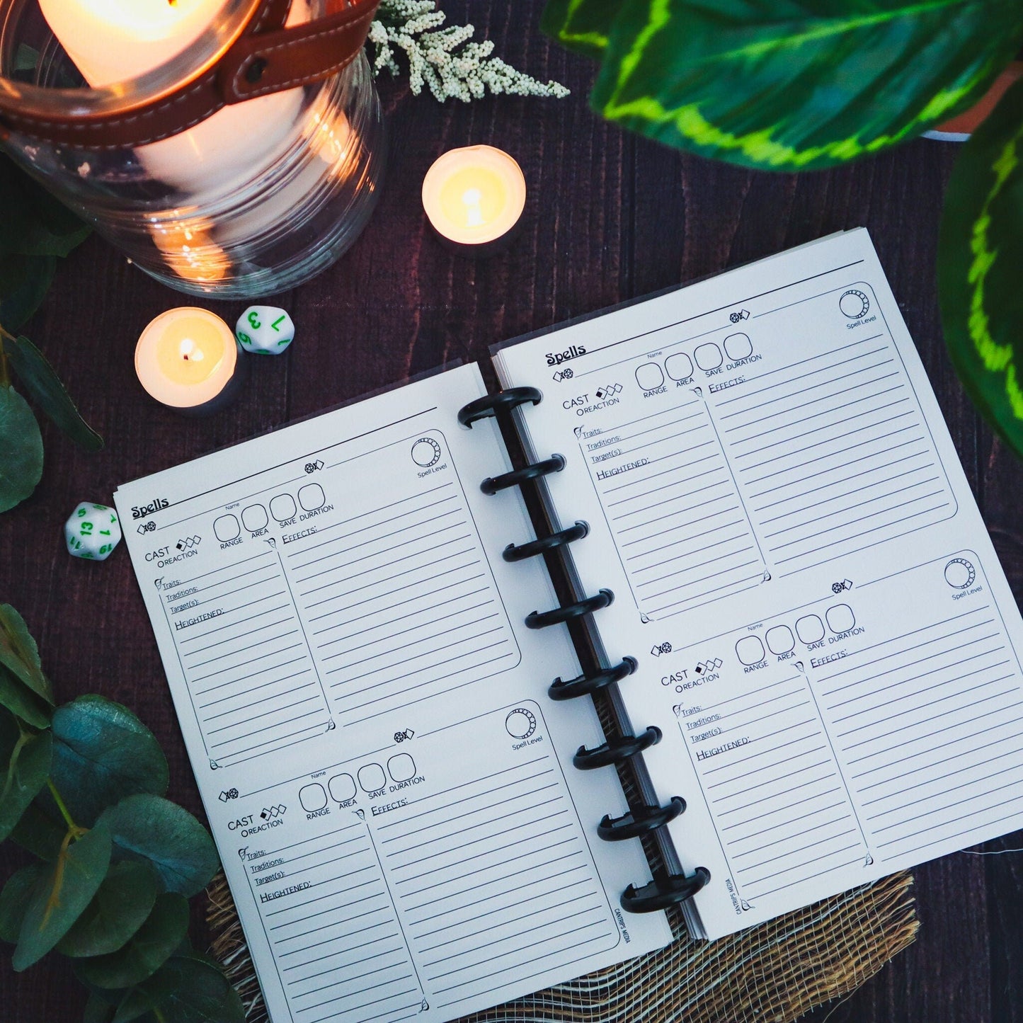 Pathfinder 2e Player's Notebook | Traveler's Ambition